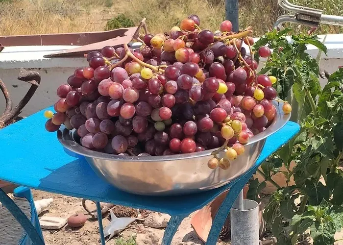 Casa de Férias Peristeronas *